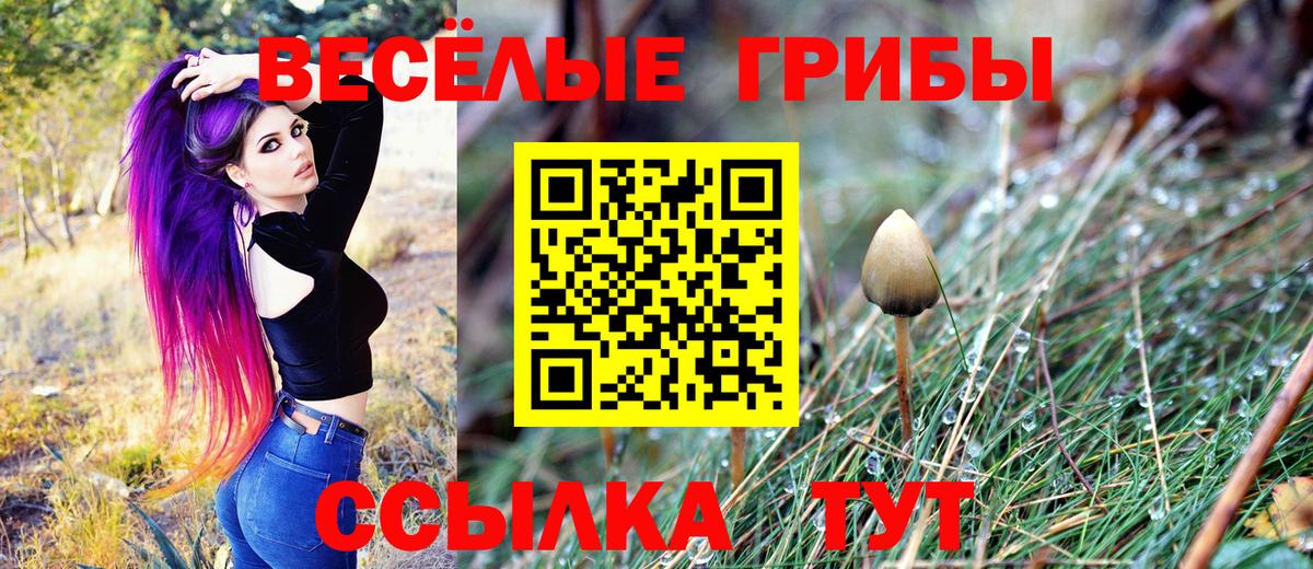 купить закладку  Галлюциногенные грибы ЛСД  Вход с VPN  Нижневартовск 